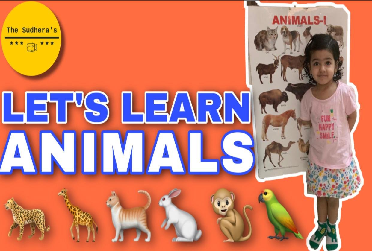 recognize-animals-with-my-toddler-learn-with-sudheras